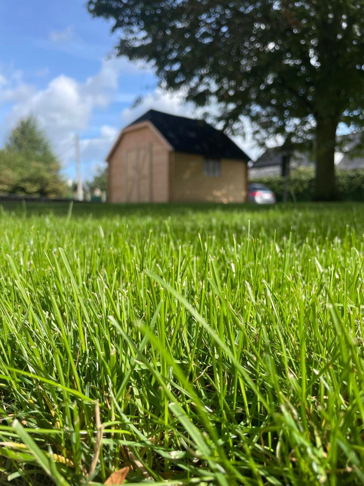 WhatsApp Image 2025-02-19 at 18.19.25_dce931b9